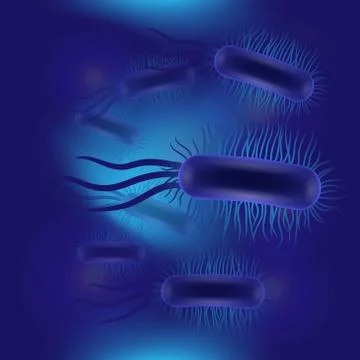 Escherichia coli virus Stock Illustration