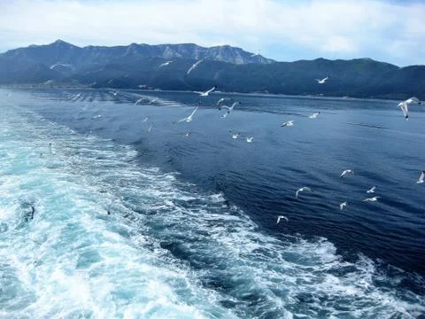 Escorts.   Stock Photos