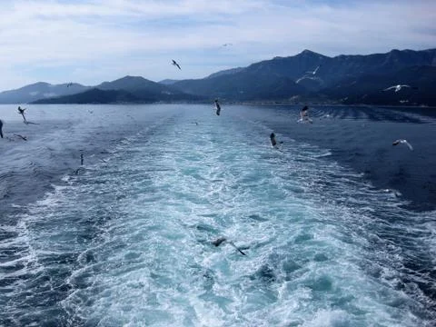 Escorts.   Foto stock