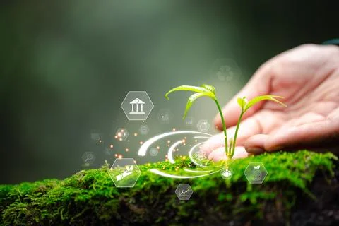 ESG icon concept circulating in the hands, Environmental, Society and Gover.. Foto stock