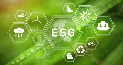 Esg icons on a magic leaf plant background Stock Footage 343613168