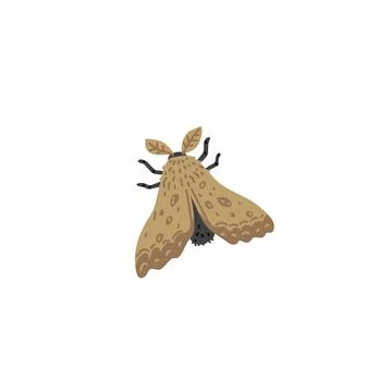 Esoteric moth symbol, vector illustration in flat style. Illustrazione stock