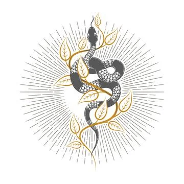 Esoteric snake of wisdom hermetic alchemy medieval drawing occult tattoo Stock Illustration