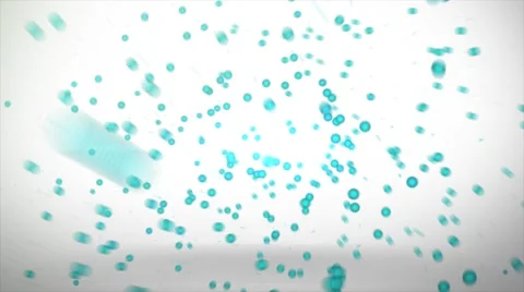 Espanic Text Animation Видео 66112846