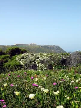 Espichel Cape landscape Stock Photos