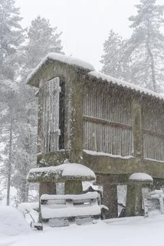 Espigueiro traditional structure for corn storage on a snow white winter land Stock Photos