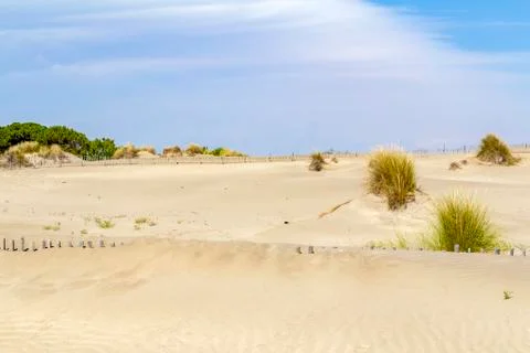 Espiguette Beach Stock Photos