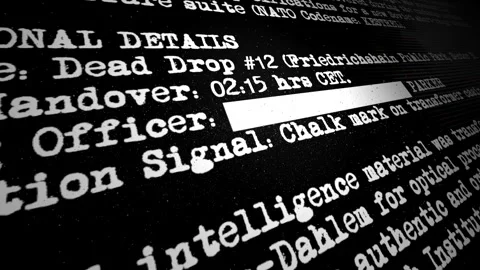 Espionage Document Intelligence Briefing for Military Cyber Warfare Stock-Footage 344347765