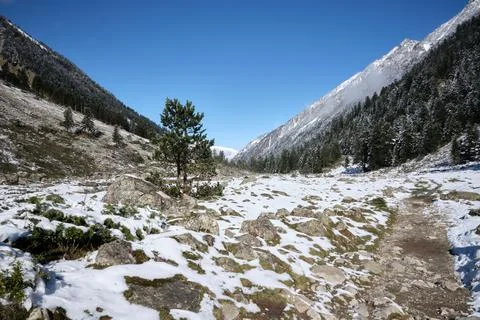 Esplanade in the forest of the Pyrenees 스톡 사진