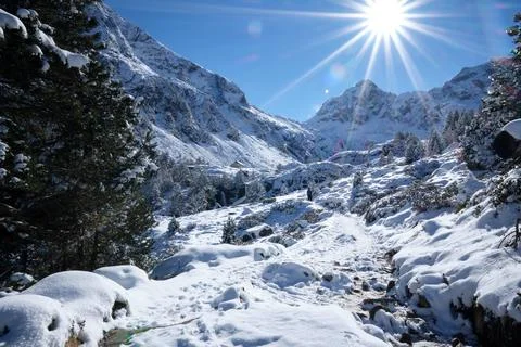 Esplanade in the forest of the Pyrenees Foto stock