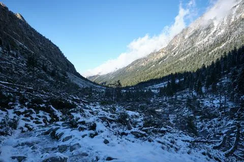 Esplanade in the forest of the Pyrenees 스톡 사진