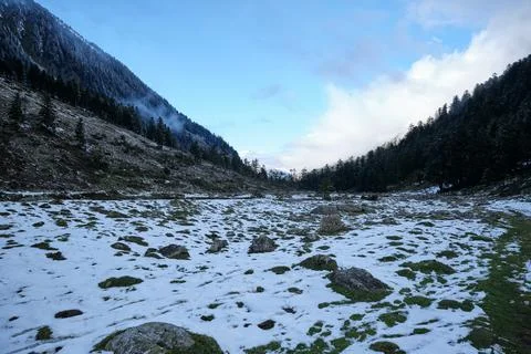 Esplanade in the forest of the Pyrenees 스톡 사진