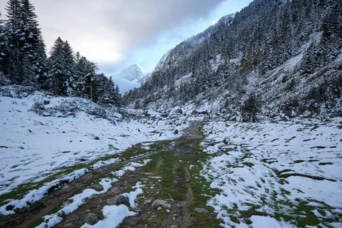 Esplanade in the forest of the Pyrenees 스톡 사진
