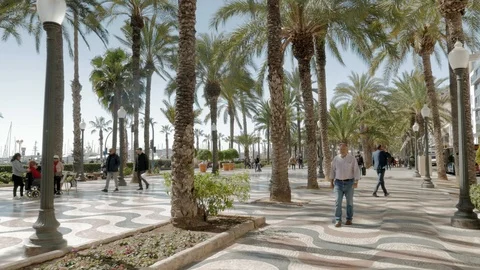 The Esplanade of Spain in Alicante Stock Footage 104656979