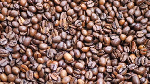 Espresso beans Dark roast Medium roast Coffee beans. roasted coffee beans Stock Footage 293095148