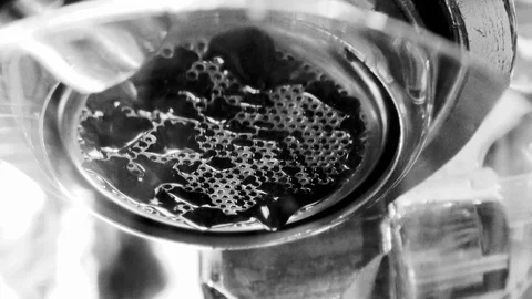 Espresso brewing closeup view Stock Footage 71438332