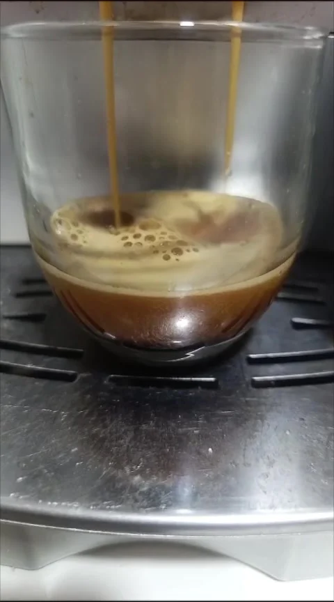 Espresso coffee being prepared with a home espresso machine Stock Footage 344979275