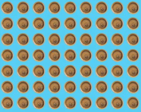 Espresso coffee flat lay pattern on blue Stock Photos