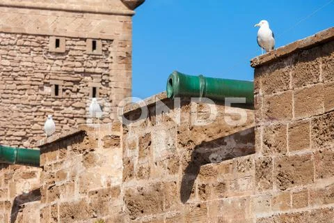 Essaouira in Morocco Stock Photos
