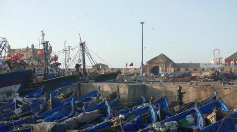 Essaouira Port with boats Stock Footage