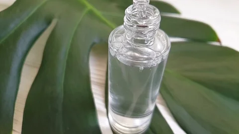 Essence Cosmetic Monstera Leaf Stock Footage 105399848