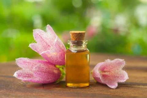 Essence of  flowers on table in beautiful glass Bottle Stock Photos