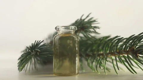 Essence of pine on table in beautiful glass jar Stock Footage 112587047