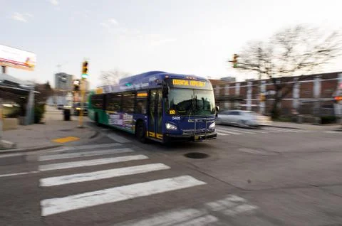 Essential Bus Stock Photos