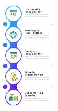 Essential ciam functionalities infographic 5 steps Stock Illustration