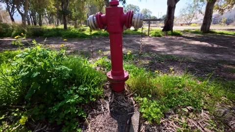 Essential fire hydrant in a rural forested area 스톡 동영상 304686132