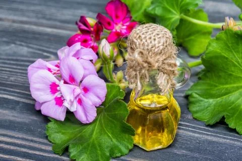 Essential geranium oil Stock Photos