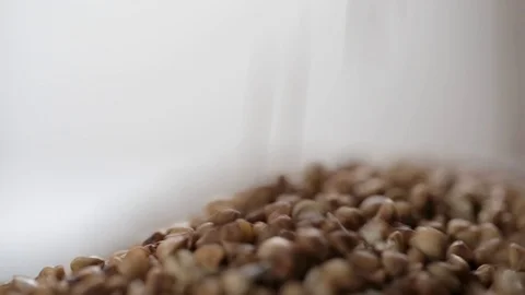 Essential goods: Buckwheat. Buckwheat seed pour in bunch closeup. Stock Footage 127414429