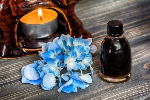 Essential hydrangea oil Stock Photos