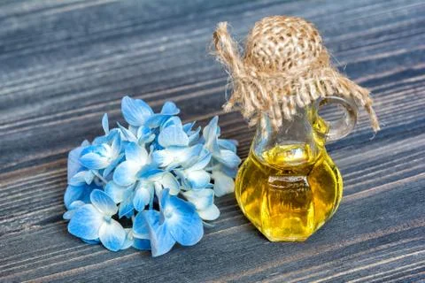 Essential hydrangea oil Stock Photos