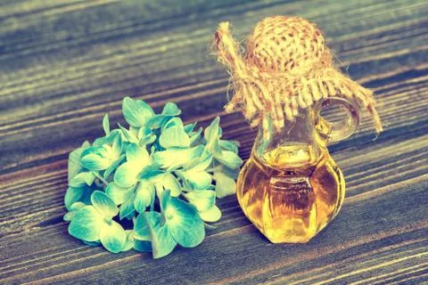 Essential hydrangea oil Stock Photos