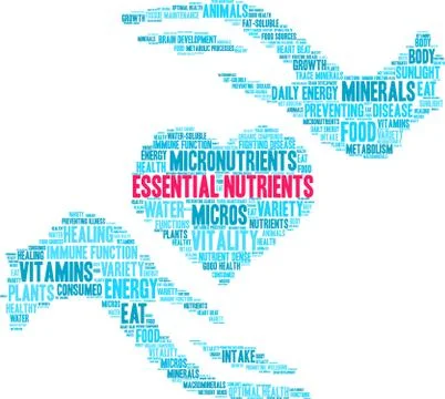 Essential Nutrients Word Cloud Stock Illustration