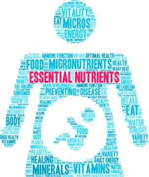 Essential Nutrients Word Cloud Stock Illustration