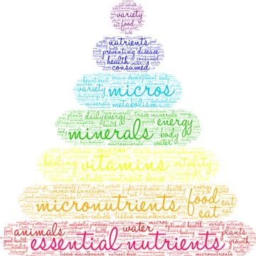 Essential Nutrients Word Cloud Stock Illustration