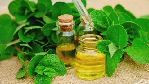 Essential oil and mint extract in a small bottle. Selective focus. Stock Footage 154412284