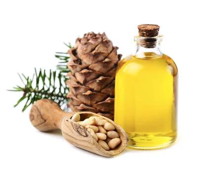 Essential oil of cedar with pine nuts Stock Photos