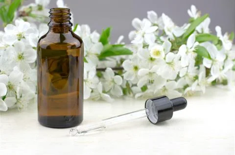 Essential oil with cherry tree extract. Natural herbal products. Stock Photos