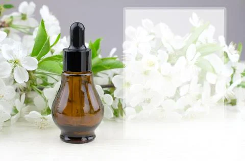 Essential oil with cherry tree extract. Natural herbal products. Serum bottle Stock Photos