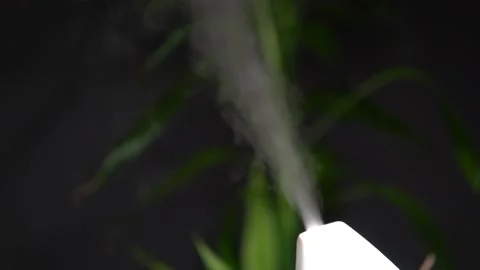 Essential oil diffuser and humidifier close up with mixed water steam. Dark d Stock Footage 169613318