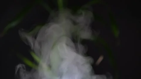 Essential oil diffuser and humidifier close up with mixed water steam. Dark d Stock Footage 169613340