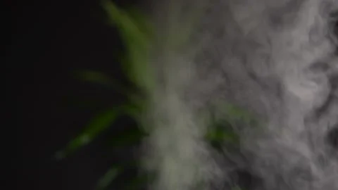 Essential oil diffuser and humidifier close up with mixed water steam. Dark d Stock Footage 171769865