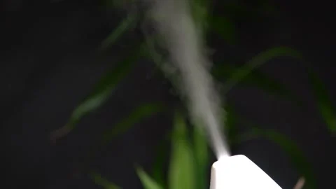 Essential oil diffuser and humidifier close up with mixed water steam. Dark d Stock Footage 199848069
