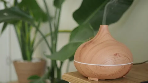 Essential oil diffuser and plants in a bright room Stock Footage 331344788