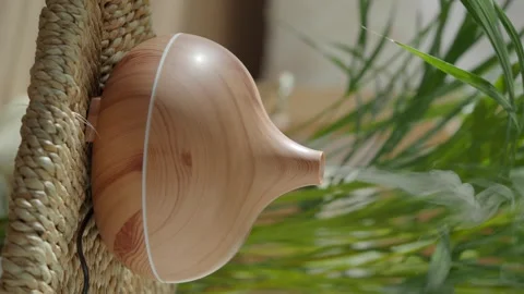 Essential oil diffuser misting gently near lush green plant and woven texture 스톡 동영상 333158742