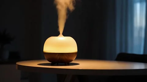 Essential oil diffuser releasing vapor, ambient mood Stock Footage 313171738