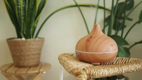 Essential oil diffuser on a table with plants around Stock Footage 328780951
